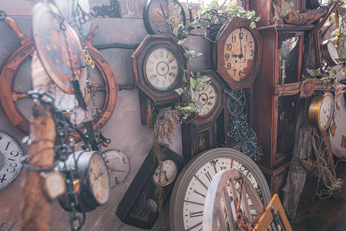 ピータースタジオ