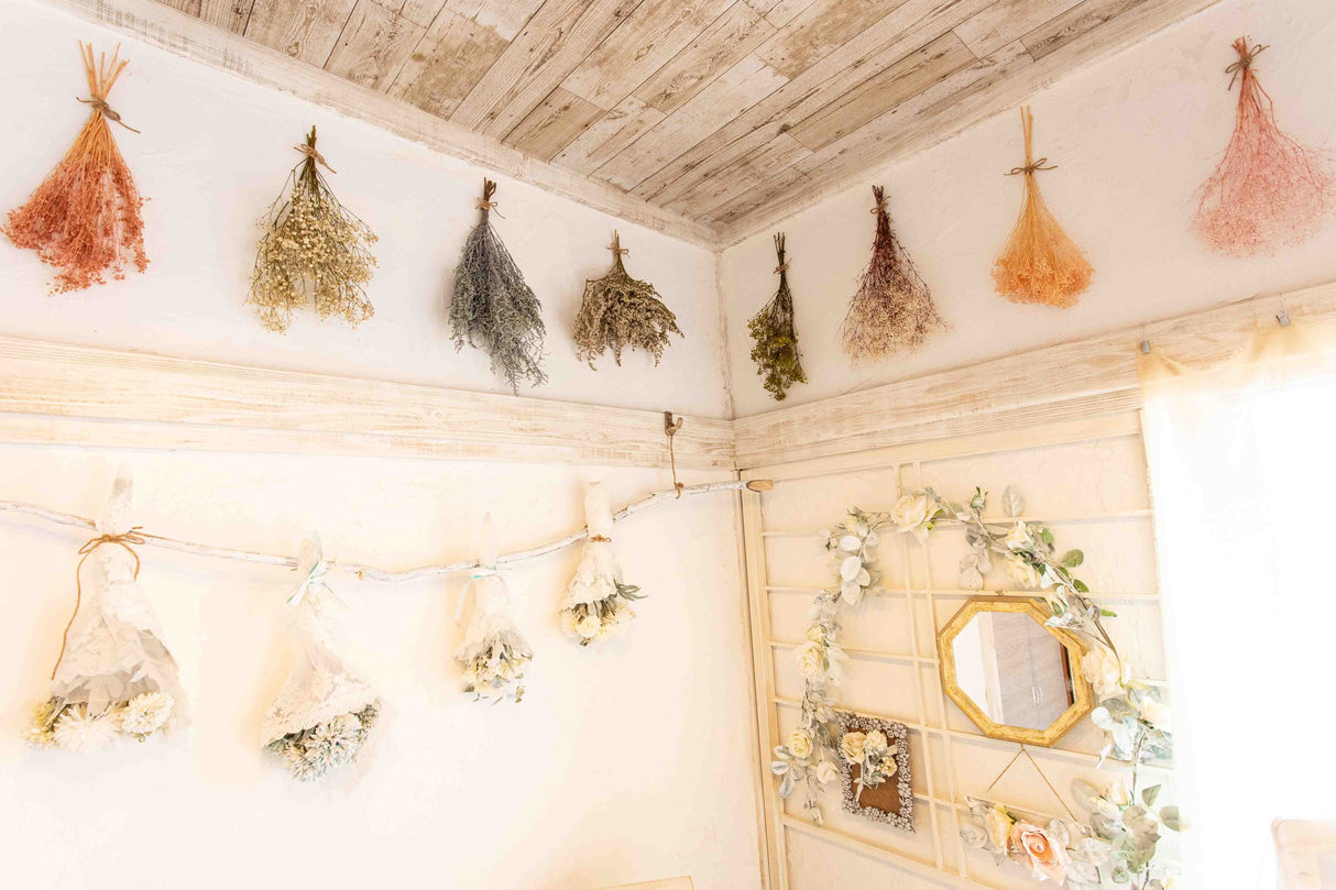 キューブスタジオ