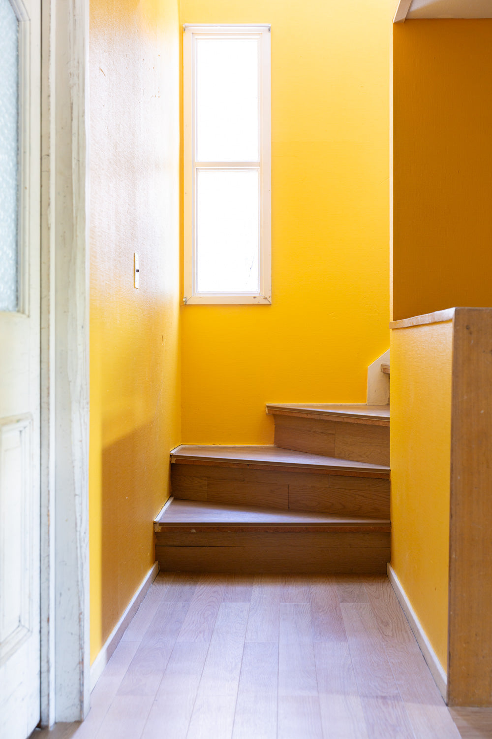 mimosa house country