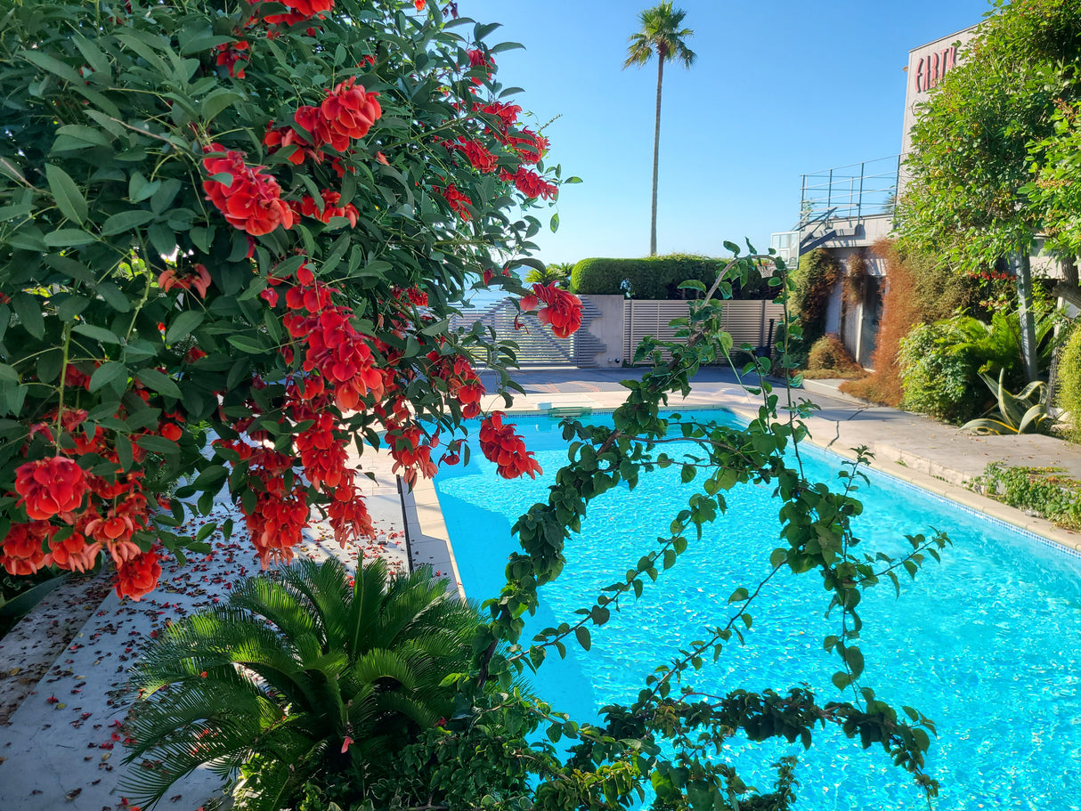 鴨川サーフィンハウス