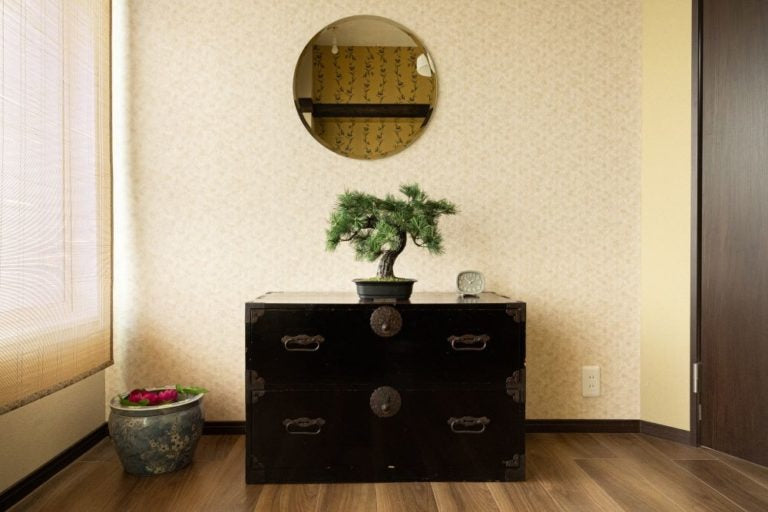 Studio apps Dst/Est/Fst