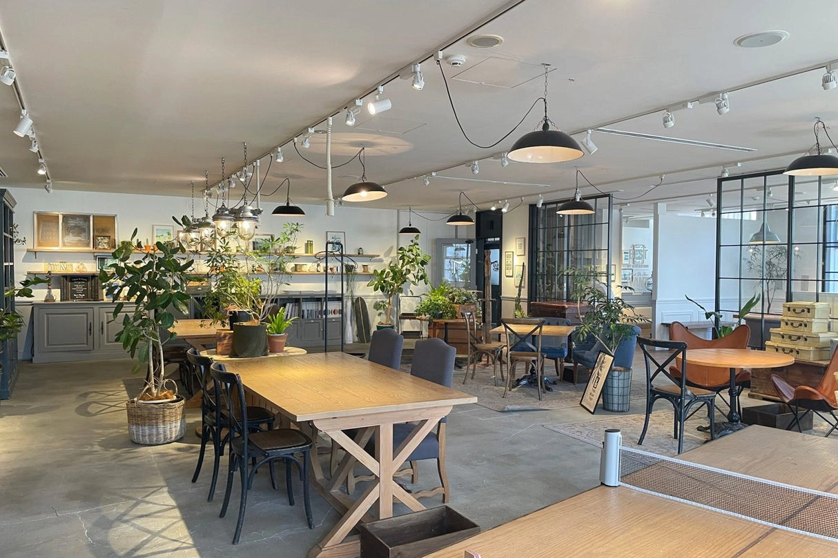 TRUNK BY SHOTO GALLERY/5F FACTORY