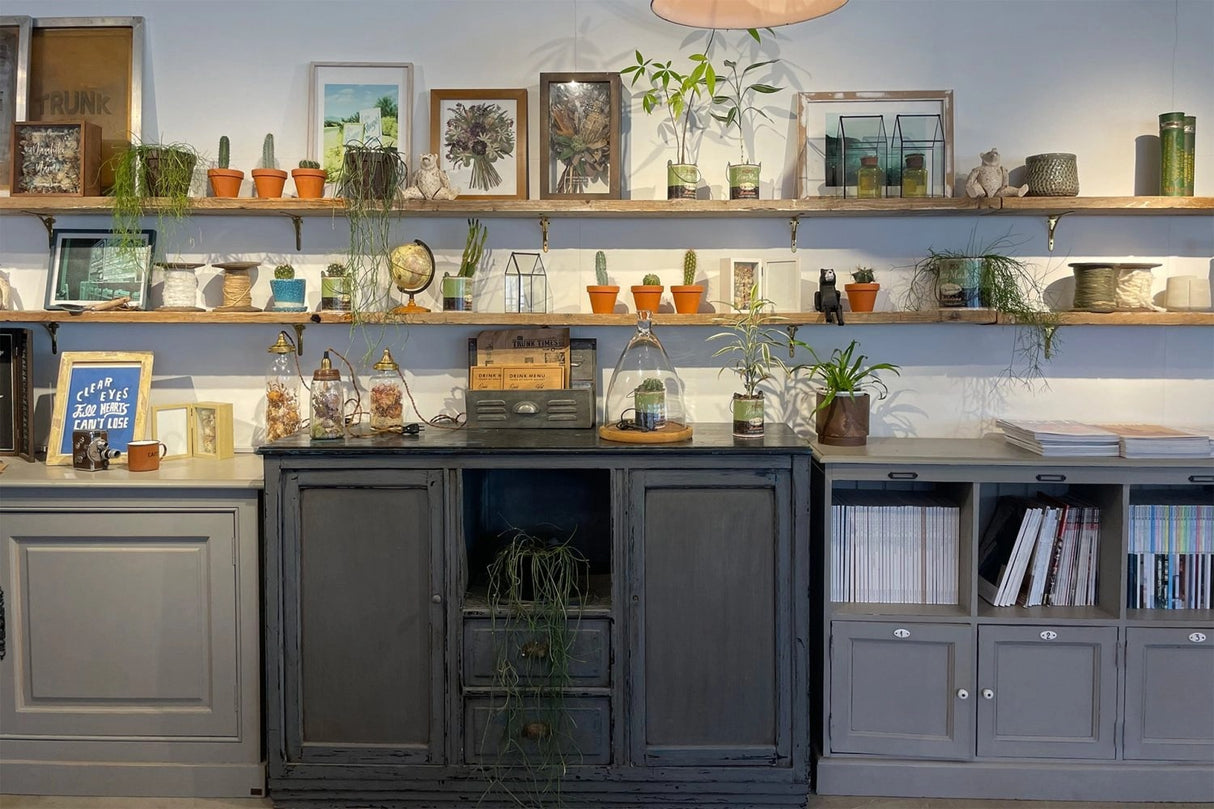 TRUNK BY SHOTO GALLERY/5F FACTORY