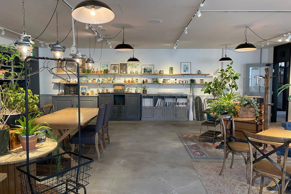 TRUNK BY SHOTO GALLERY/5F FACTORY