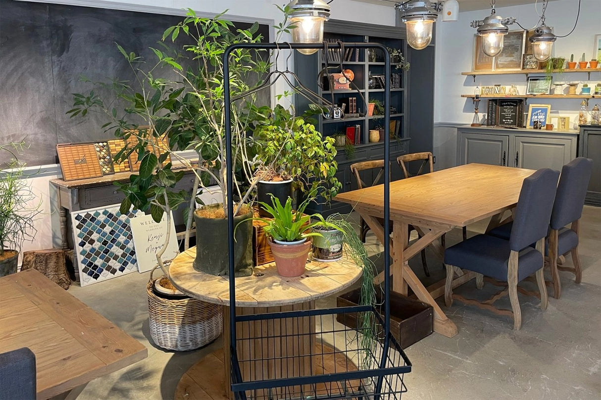 TRUNK BY SHOTO GALLERY/5F FACTORY