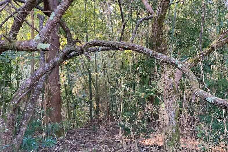 スタジオ The ZICCA