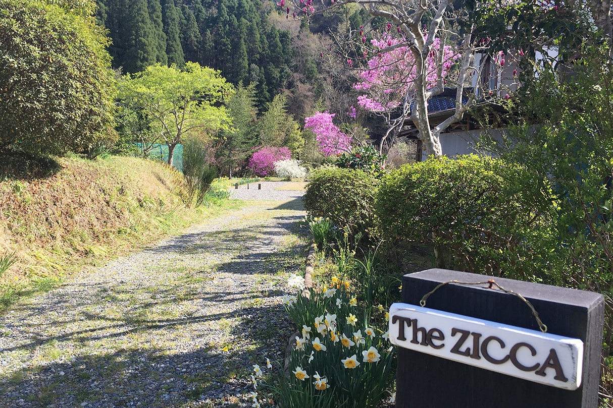 スタジオ The ZICCA