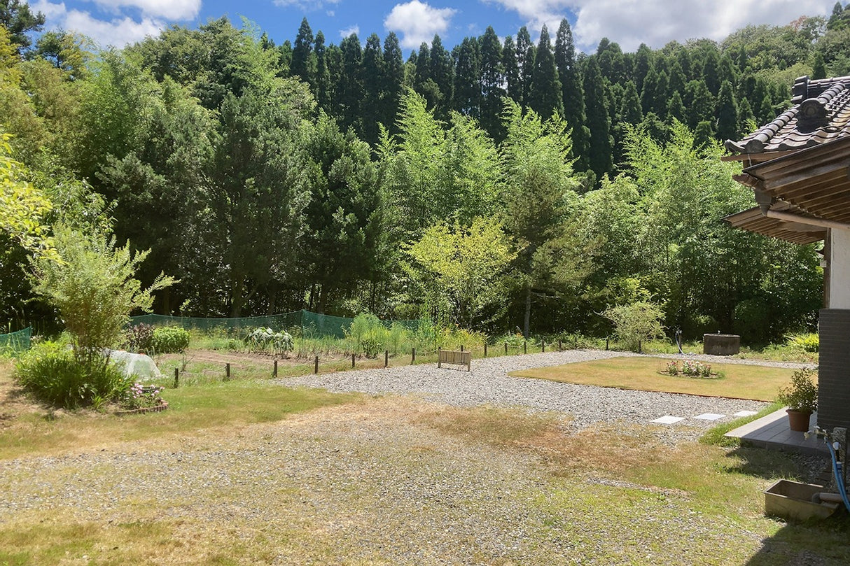 スタジオ The ZICCA