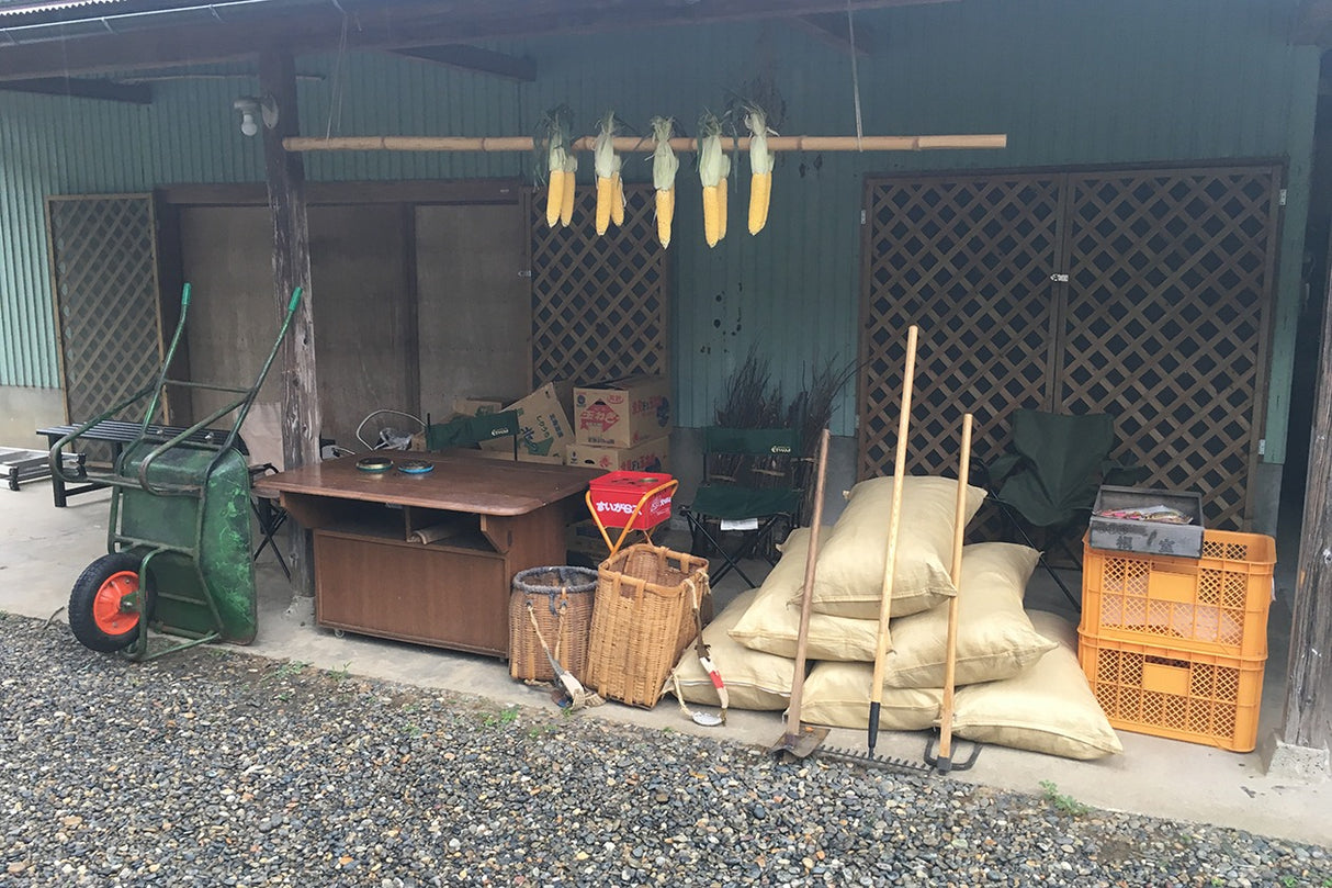 スタジオ The ZICCA