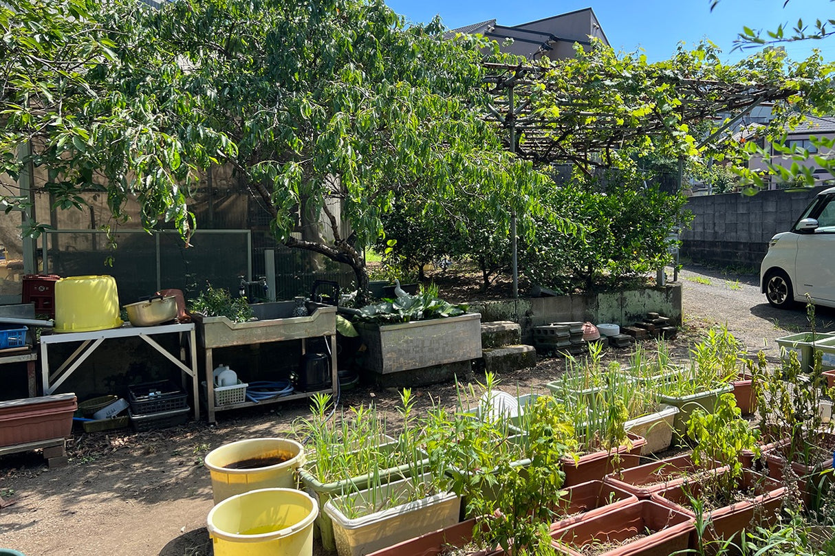 朝比奈 ハウススタジオ