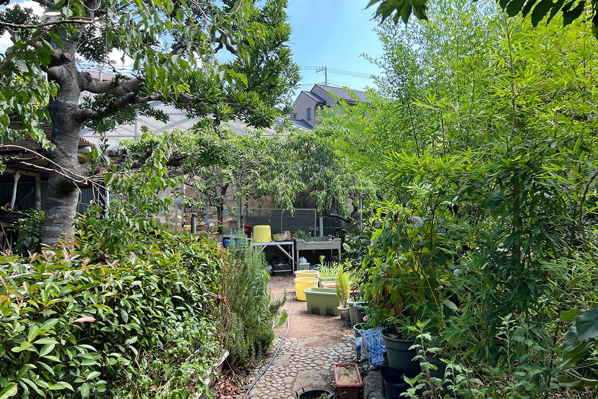 朝比奈 ハウススタジオ