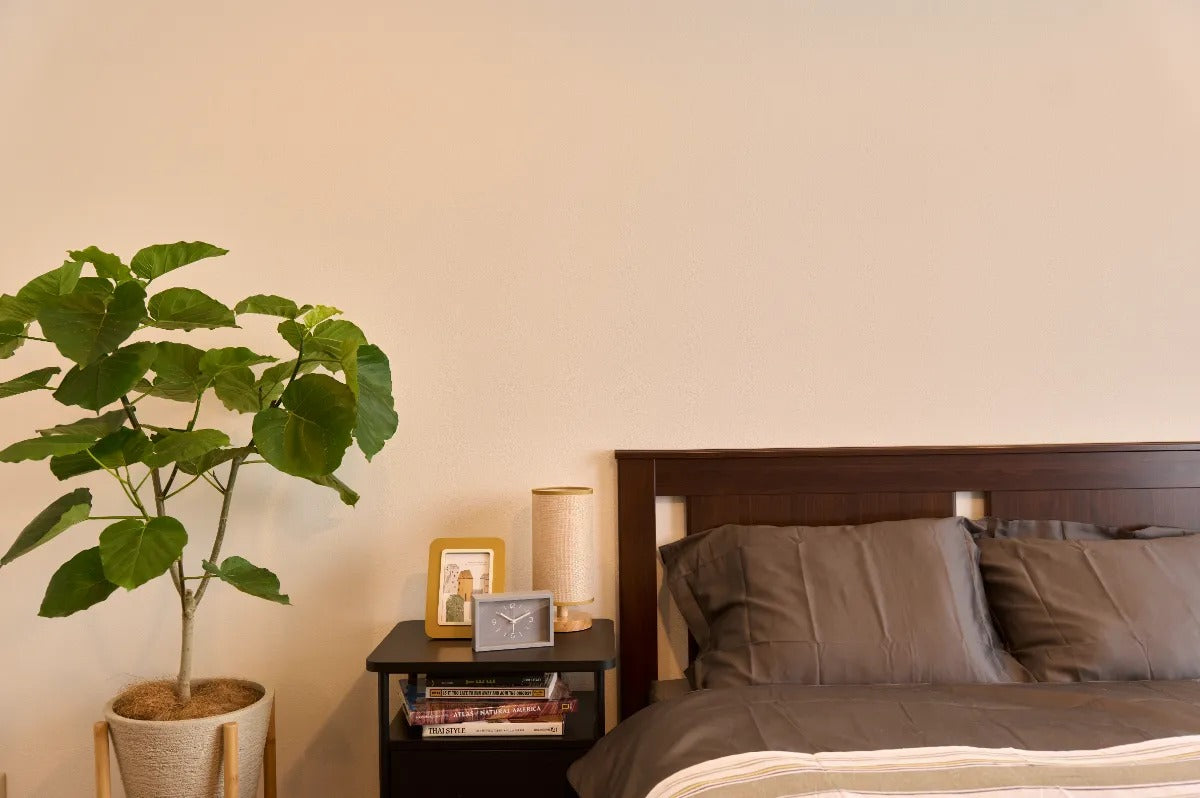 CONVENIENCE HOUSE八枝橋STUDIO