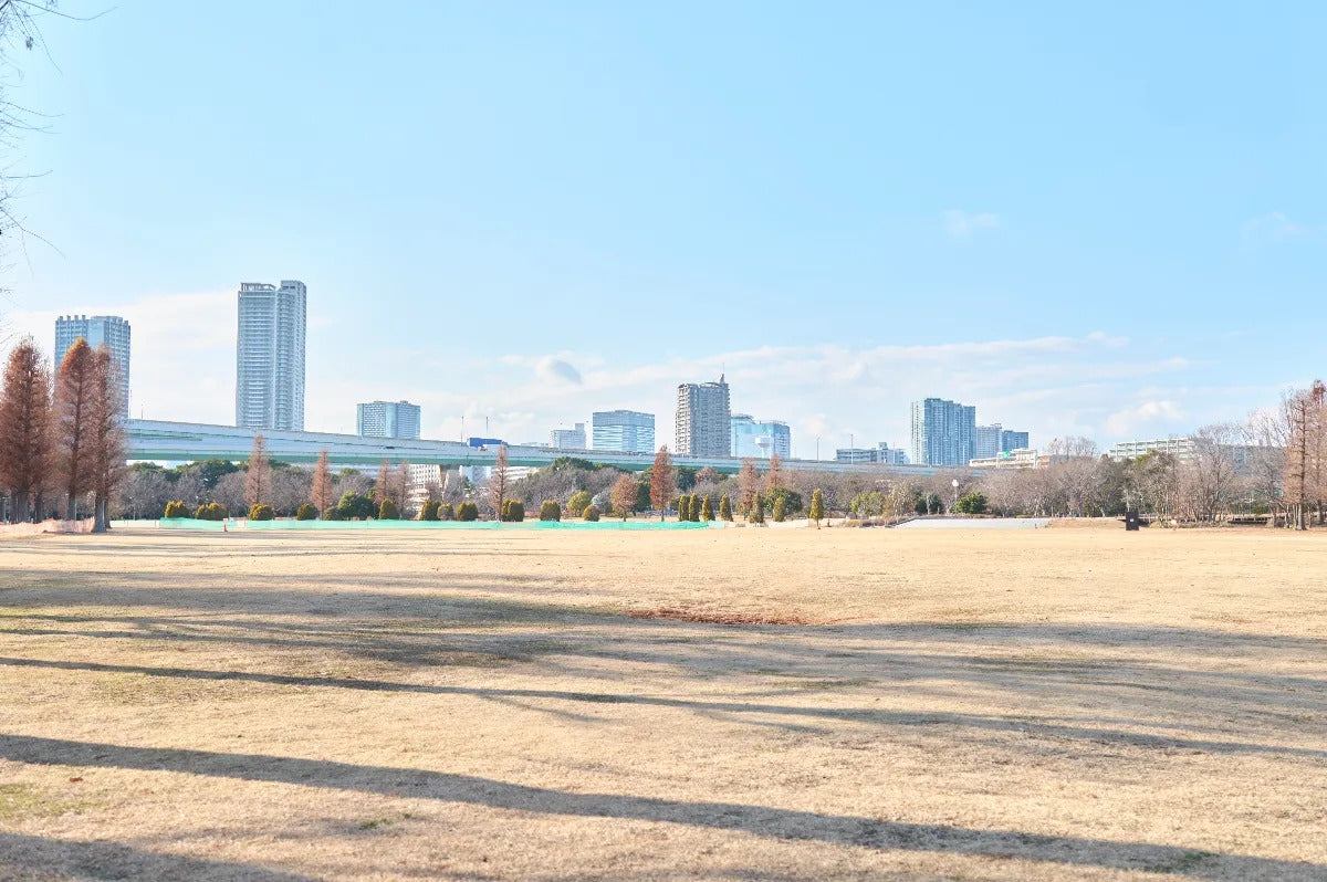 CONVENIENCE HOUSE八枝橋STUDIO