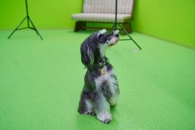 迎賓館CLUBスタジオ