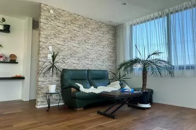 木更津 芝庭付デザイナーズハウス