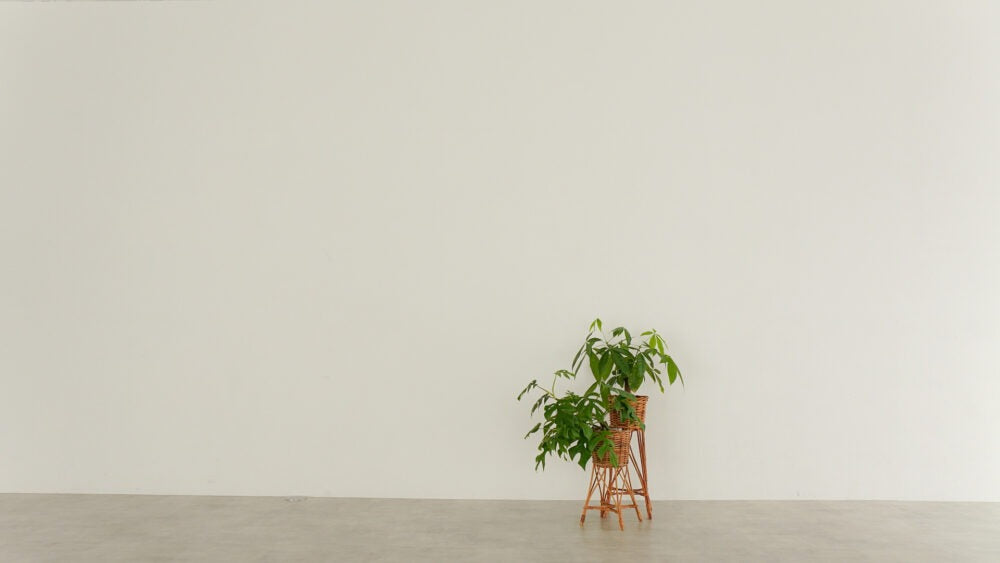 Light Rewrite Studio