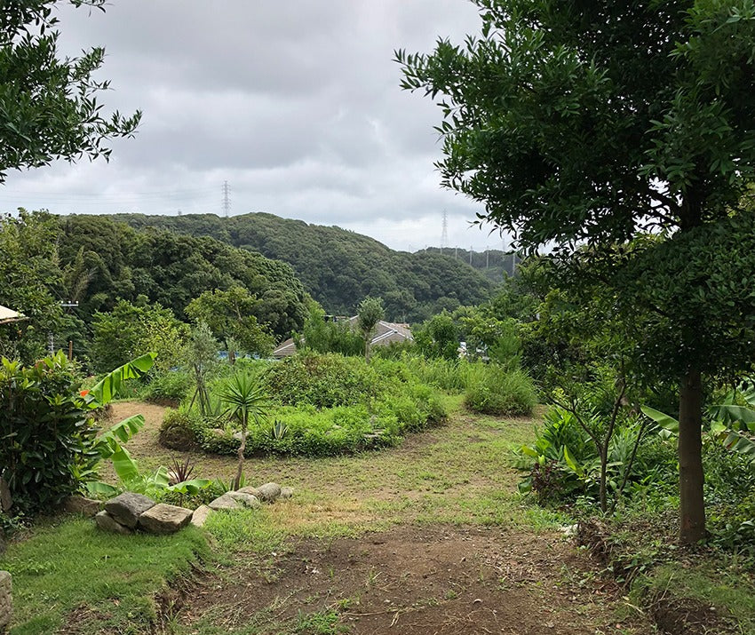 マイデザインスタジオ 平屋古民家ベーカリー&カフェ