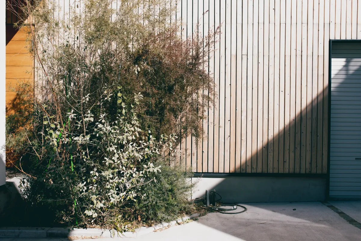 Natural Wood House 八王子