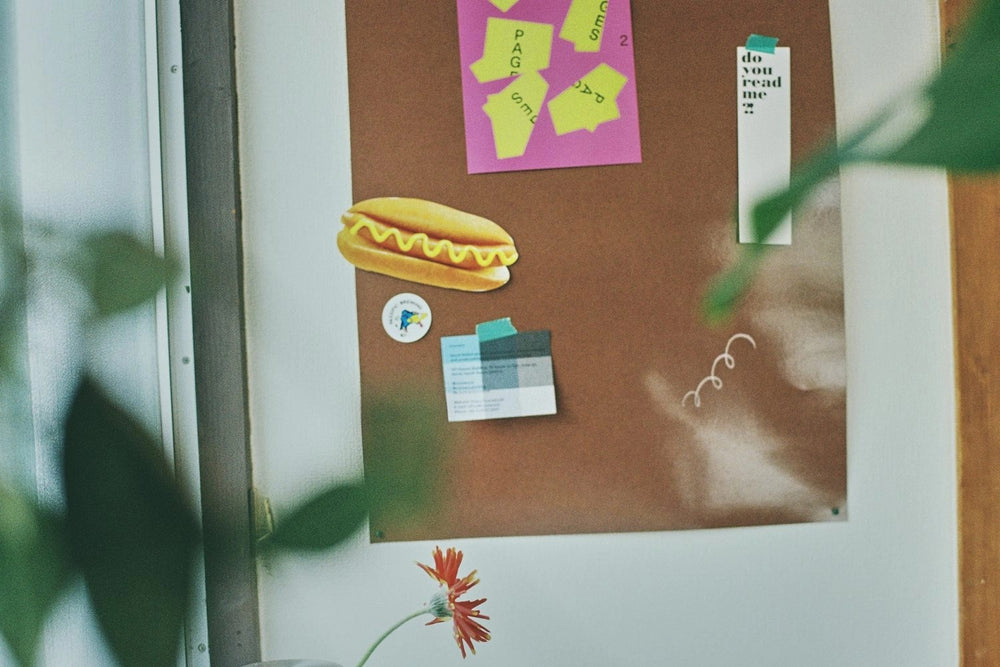 Neuk studio