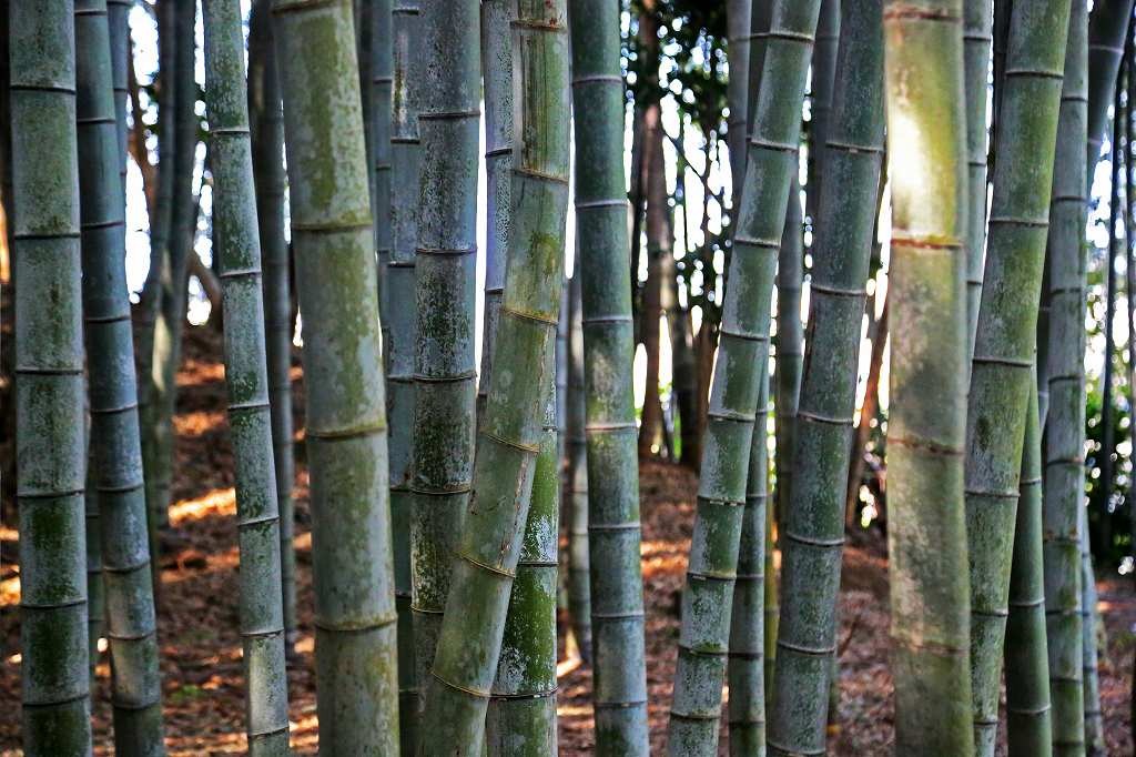 REMIX BASE CAMP KISARAZU