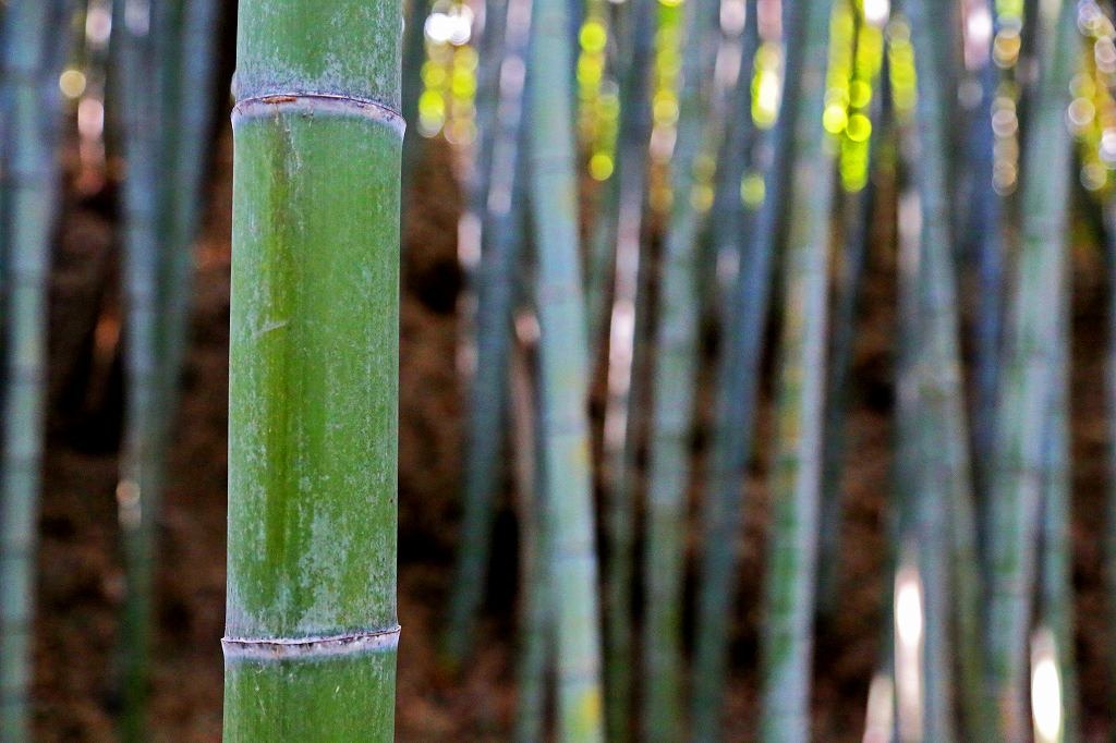 REMIX BASE CAMP KISARAZU