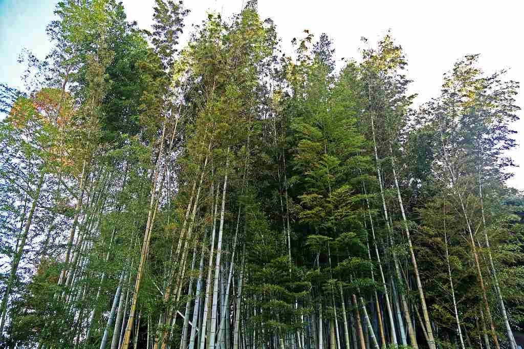 REMIX BASE CAMP KISARAZU