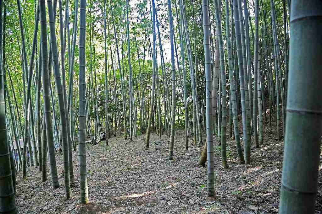 REMIX BASE CAMP KISARAZU