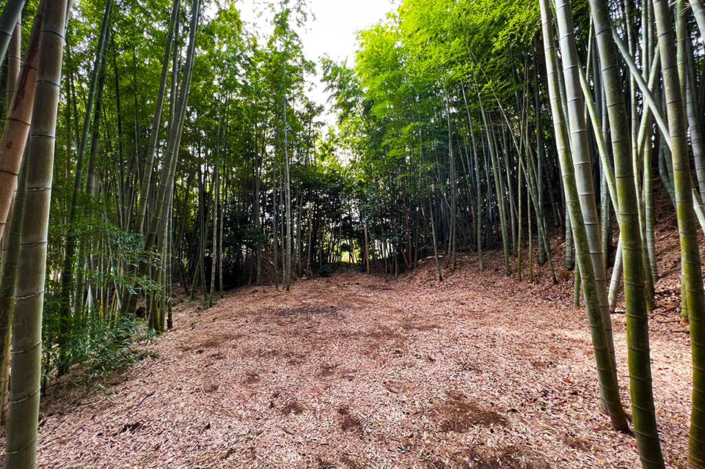 REMIX BASE CAMP KISARAZU