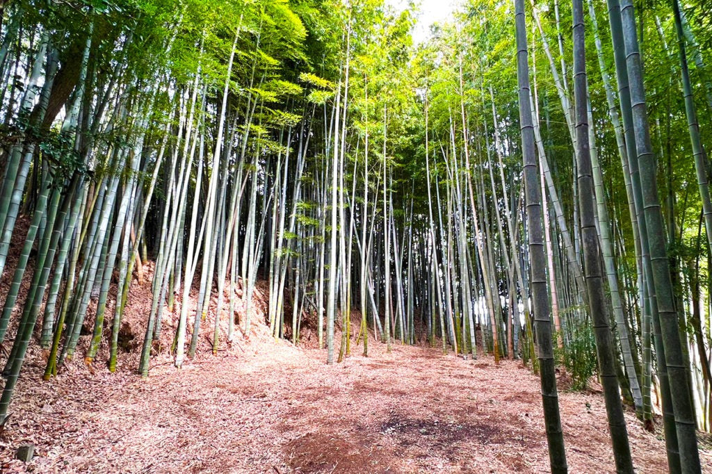 REMIX BASE CAMP KISARAZU