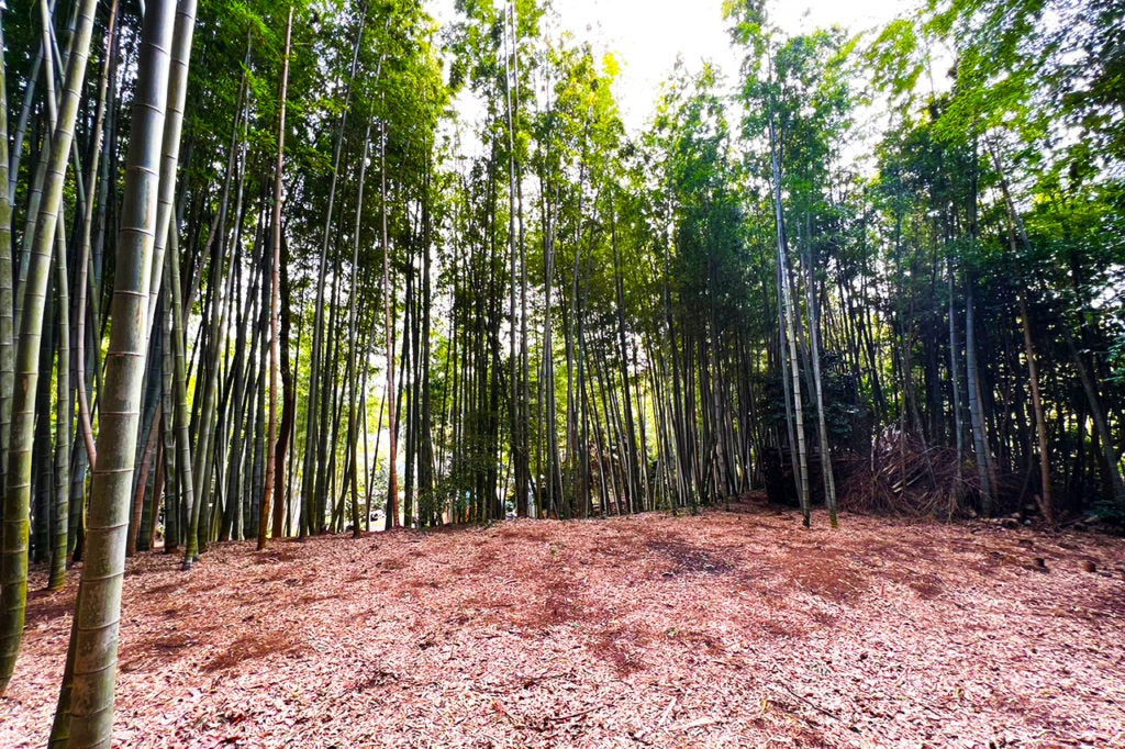 REMIX BASE CAMP KISARAZU