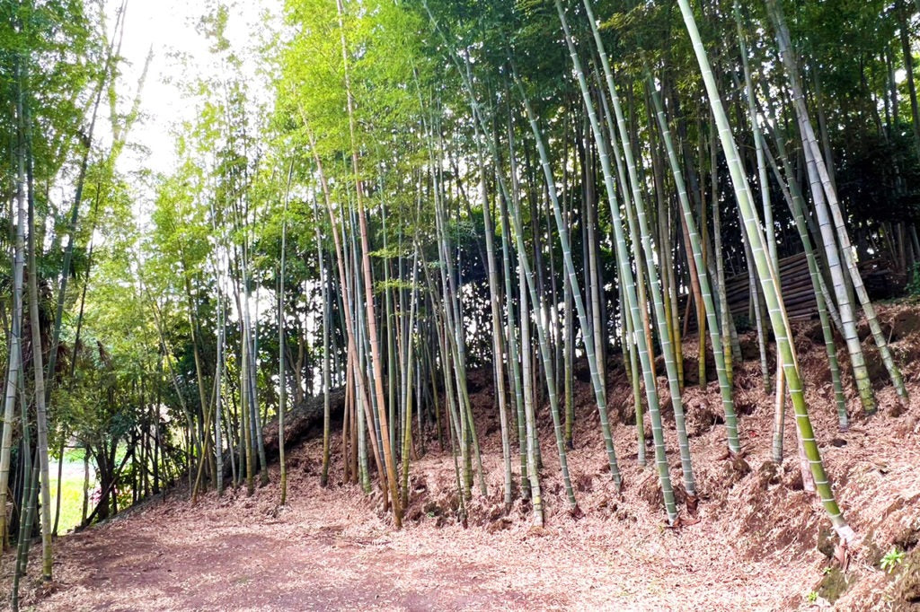 REMIX BASE CAMP KISARAZU