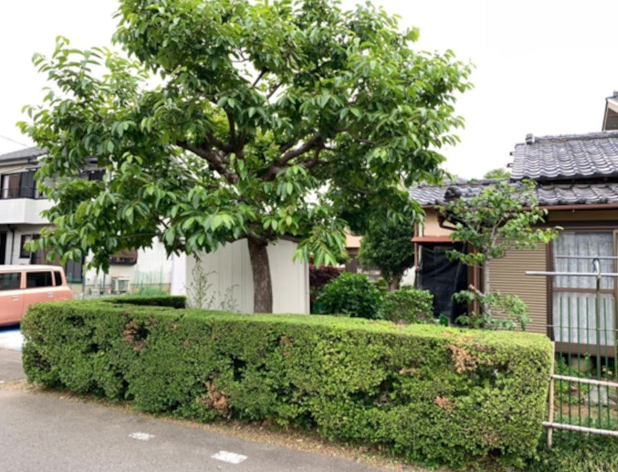 スタジオ47 埼スタB 昭和一軒家スタジオ