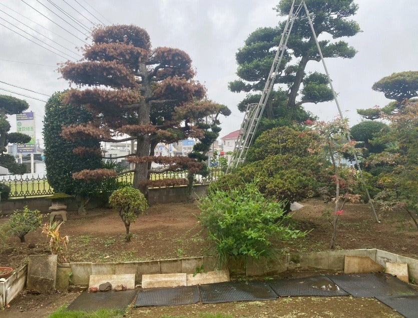 スタジオ47 埼スタC 昭和一軒家スタジオ