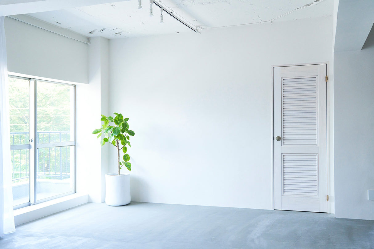 シマスタ/shimashima starstudio