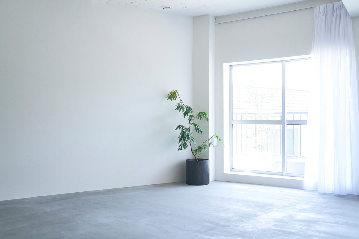 シマスタ/shimashima starstudio