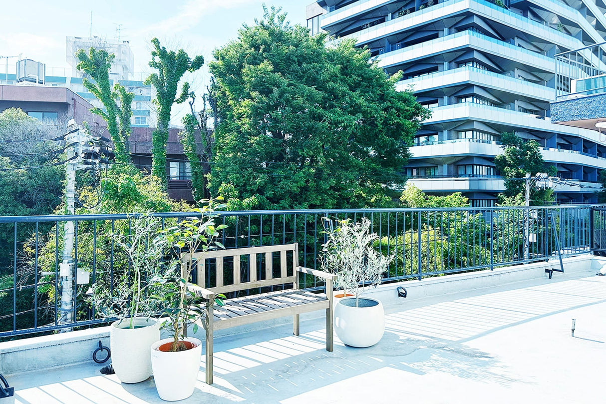 シマスタ/shimashima starstudio