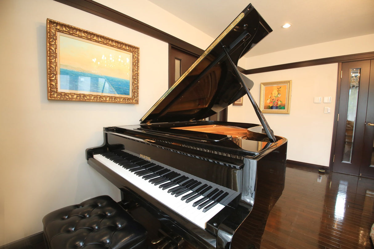 松濤豪邸 フォト・ミュージックスタジオ︎