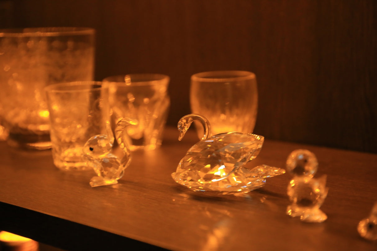 松濤豪邸 フォト・ミュージックスタジオ︎