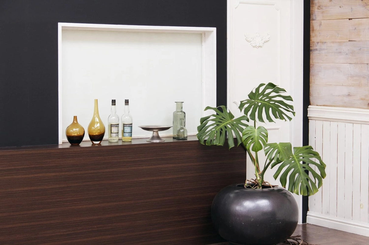 STUDIO STANDARD Tamazutsumi Ast