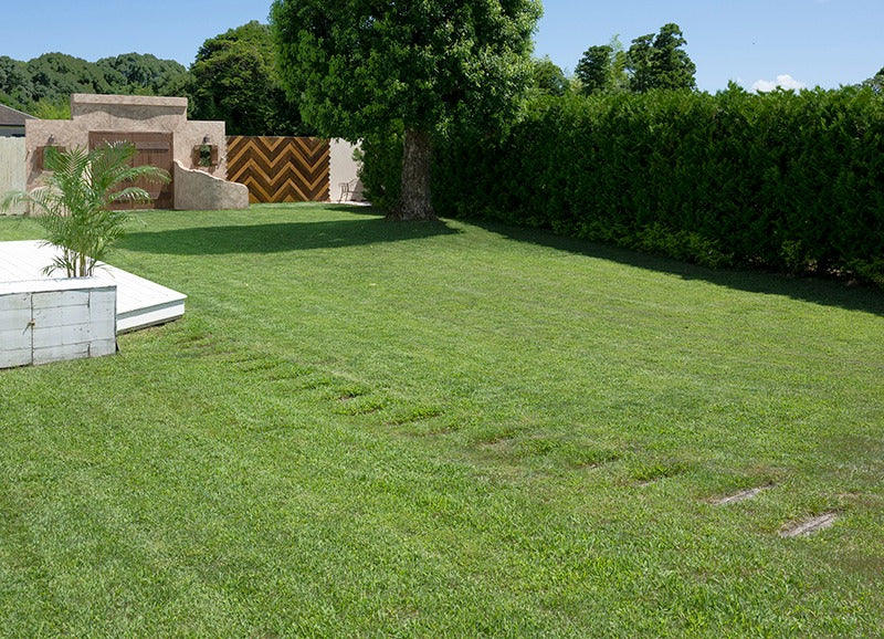 ホワイトヴィレッジスタジオ 2nd