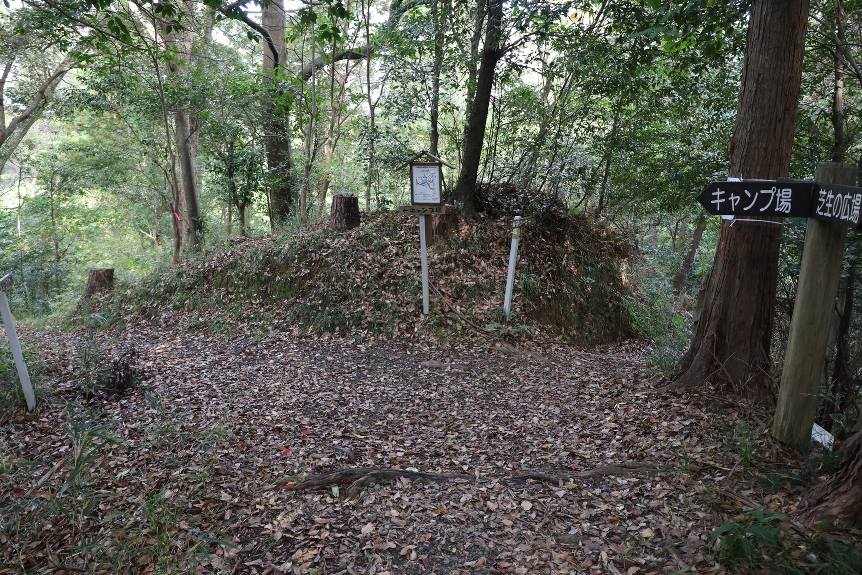 大多喜 森林公園