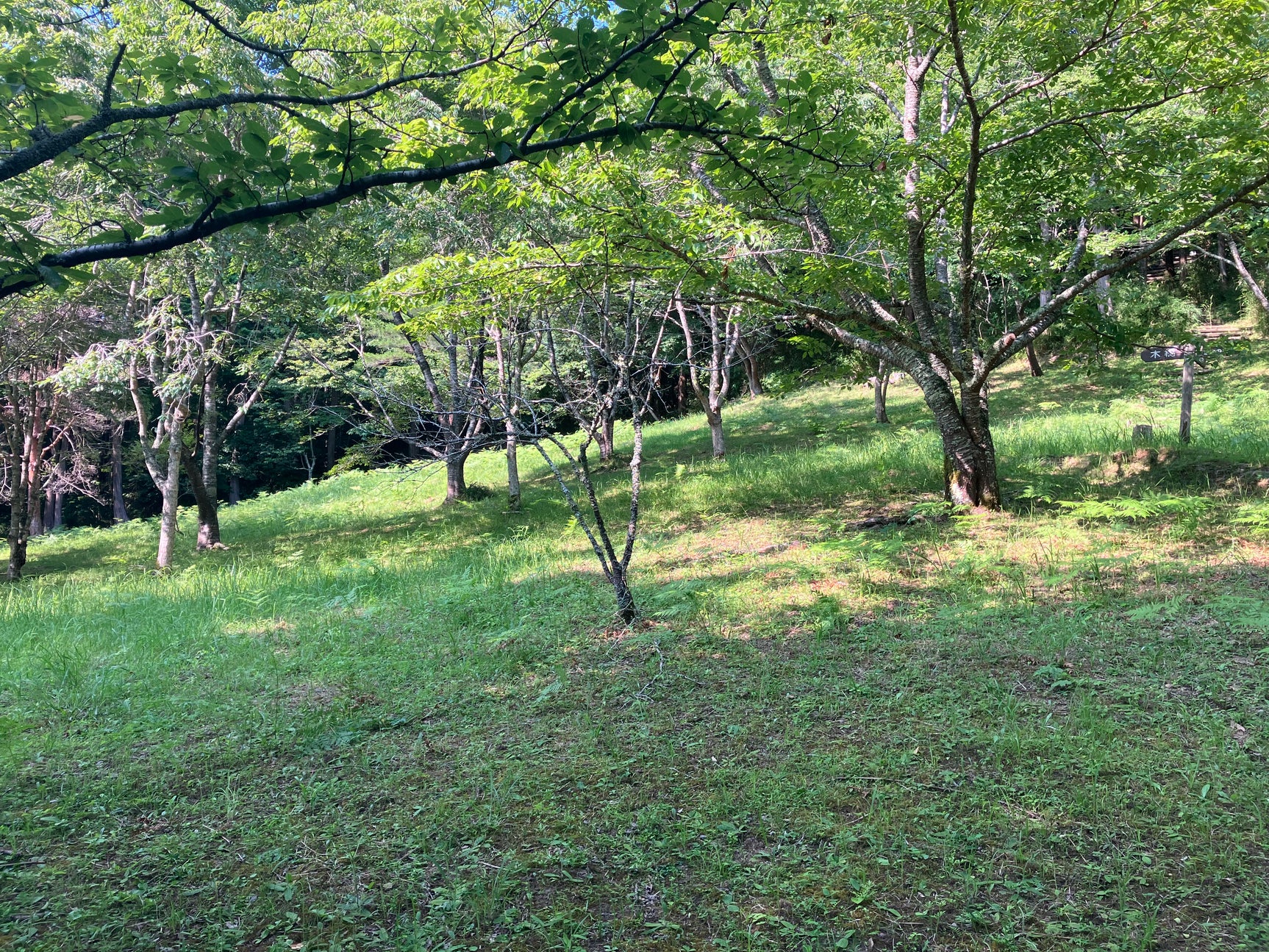 大多喜 森林公園