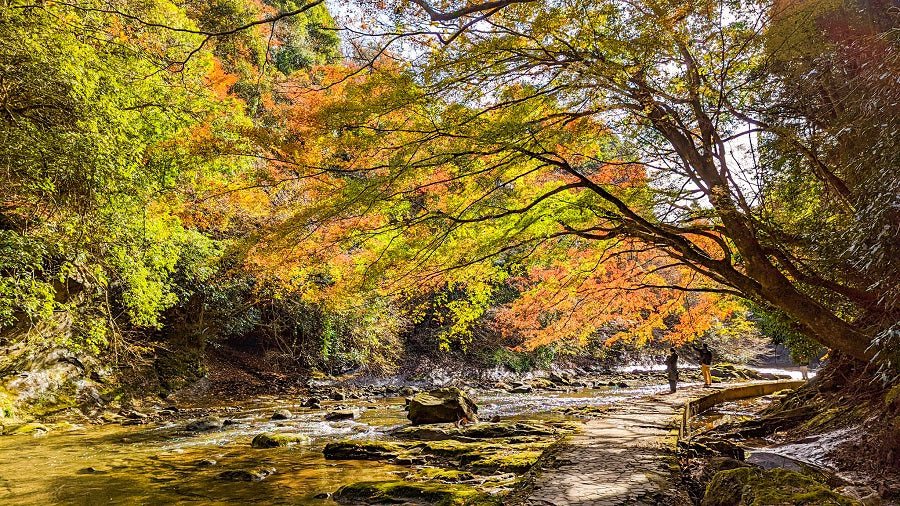 大多喜 川沿いの遊歩道