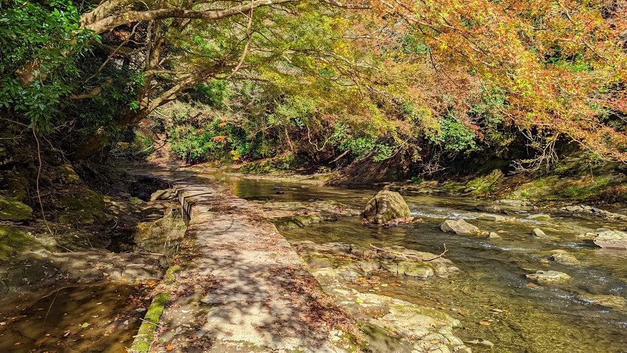 大多喜 川沿いの遊歩道