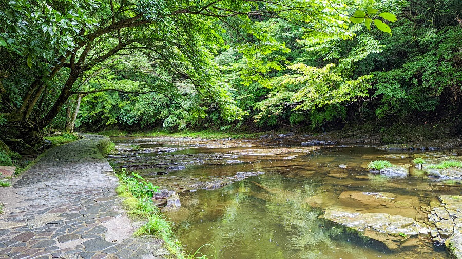 大多喜 川沿いの遊歩道