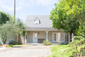 Studio Basil - Basil