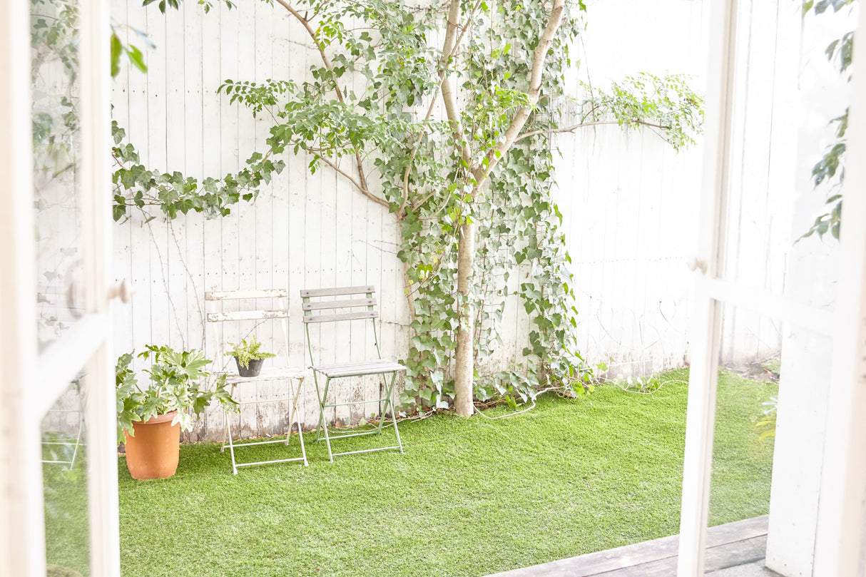 Studio Basil - Basil