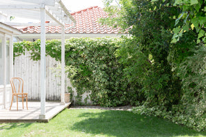 mimosa house shabby chic