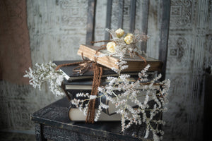 ロビンスタジオ