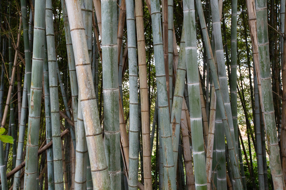 3棟マルチスタジオ &Co